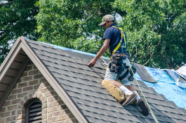 Best Roof Gutter Cleaning  in Clarksville, TN